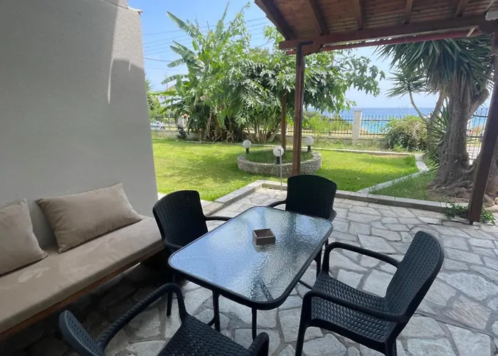 Mola Papaya Studios